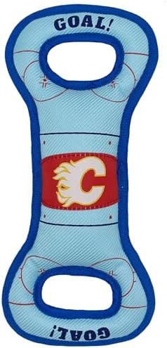 Pets First NHL Calgary Flames Ice Hockey Rink PET Toy with Inner Squeaker. A Tough Toy for Dogs & Cats with Exciting Hockey Graphics, Gorgeous Team Logo & Double Stitch Trims