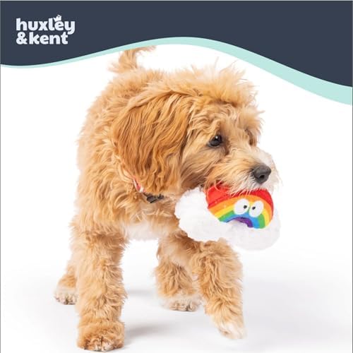Huxley & Kent Tiny Tuff Plush Dog Toy, Happy Rainbow
