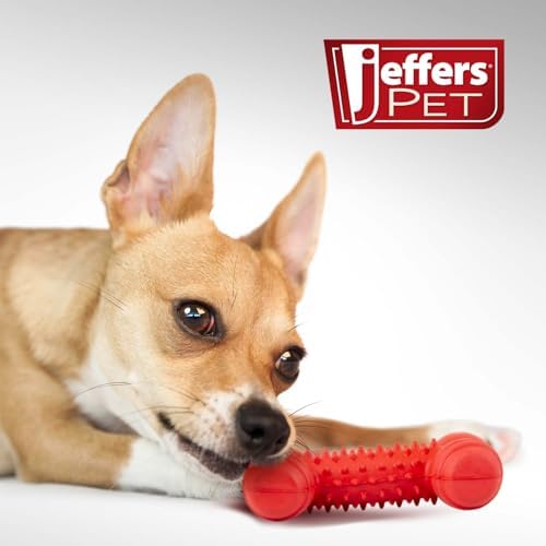 Jeffers Pet Natural Rubber Dog Chew Toy – Red Bone with Dental Teeth, Small – Vanilla Scent, Durable, Non-Toxic, Dishwasher Safe, Interactive Fetch & Tug Toy - Perfect for Training