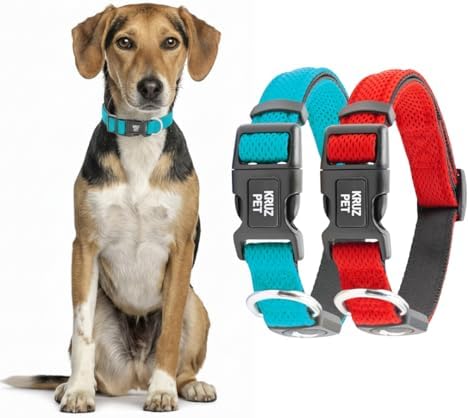 Dog Collar Bundle for Small Dogs (3/4 in Width, 10.5–14.5) | Adjustable Padded Raspberry Red & Turquoise Dog Collars with Heavy Duty O-Ring | Soft & Comfortable Fit for Large Dogs