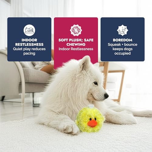 PetLou D.O.G'Z 4-inch EZ Squeaky Chick Dog Plush Toy,Durable Squeaks Bouncy Ball Dog Toy