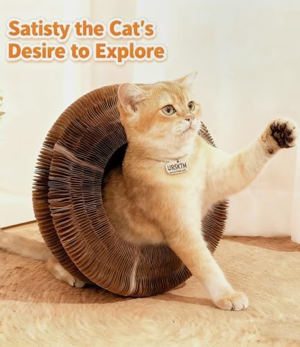 2PCS Kitty Kurls Cat Scratcher Toy, Magic Organ Cardboard Cat Toy, S