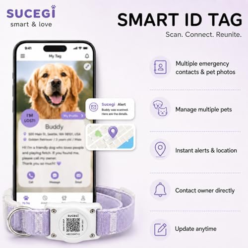 AirTag Dog Collar with QR Code ID, Collar with Air Tag Holder,Purple, XL