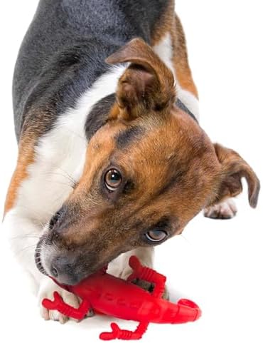 Jeffers Pet Natural Rubber Dog Chew Toy – Red Chameleon, Medium – Vanilla Scent, Durable, Non-Toxic, Dishwasher Safe, Interactive Fetch & Tug Toy - Perfect for Training Medium Chewers