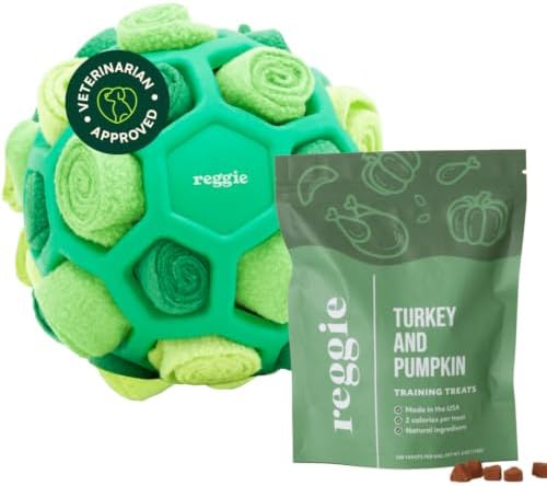 Reggie Dog Training Treats with Enrichment Toy | Turkey & Pumpkin Dog Treats + Forager Ball | Low-Calorie High-Protein Rewards | Mental Stimulation for Dogs | 340 Treats