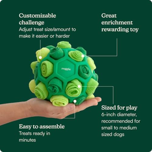 Reggie Dog Training Treats with Enrichment Toy | Turkey & Pumpkin Dog Treats + Forager Ball | Low-Calorie High-Protein Rewards | Mental Stimulation for Dogs | 340 Treats