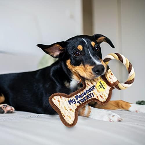 Rite Lite Chewdaica Passover Bone Squeaky Dog Toy Matzah Design Pesach Seder Gifts for Dog Owners Tough & Durable with Chew Pull Rope Jewish Holiday Party Favors Haggadah Dog Accessories 9" L