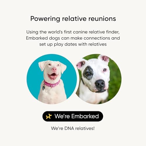 Embark Breed ID Dog DNA Test Kit – 400+ Breeds, 99% Breed Accuracy | Dog DNA testing kit for mixed breeds. Ancestry to great-grandparents, relative finder & family tree. Largest dog database.