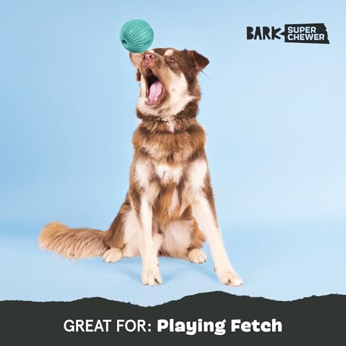 BarkBox Sea Foam Reef Ball Treat Dispensing Toy for Large Dogs, Perfect for Fun-Filled Stimulation and Interactive Playtime