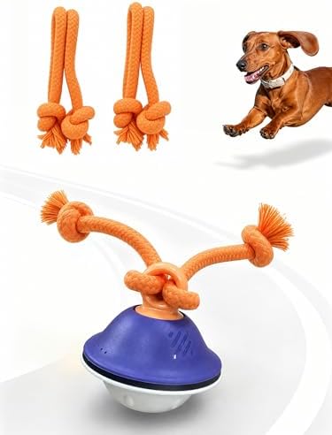 Interactive Dog Toy, 3 Play Modes Smart Moving Bouncing Dogs Ball with Rope