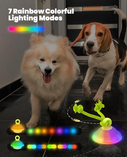 Xeuch Smart Interactive Dog Toys, Automatic Moving and Rolling Dogs Ball with Rope, Motion-Activated Squeaky Ball for Small Medium Dogs for Boredom, RGB Lights, stimulating Sound, Voice Recording