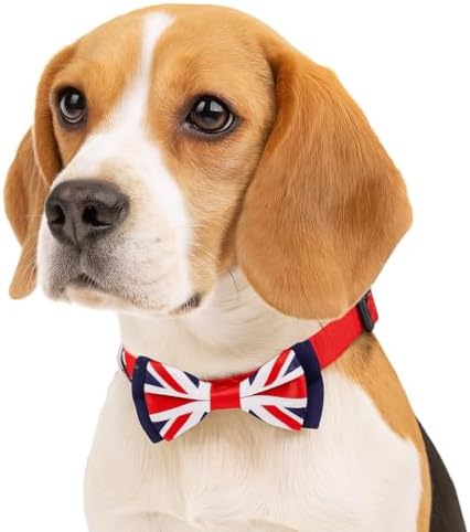 Blueberry Pet 2 Patterns Patriotic Spirits UK Flag Adjustable Bowtie Red Dog Collar - Handmade Bow Tie w/Jacquard Weave Fabric, Medium, Neck 14.5"-20"