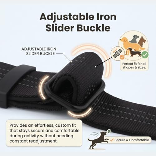 Dog Collar with AirTag Compatible Holder + Leash, Cobra Buckle, Padded, (M)
