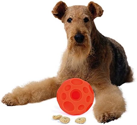 Omega Paw Authentic Tricky Treat Ball Large
