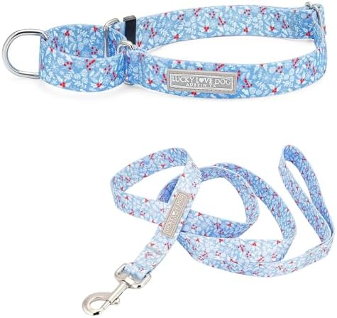 Lucky Love Dog Martingale Collar & Leash Set No Slip – Winter Blue, Small