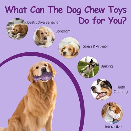 Natural Rubber Squeaky Dog Chew Toy for Aggressive Chewers