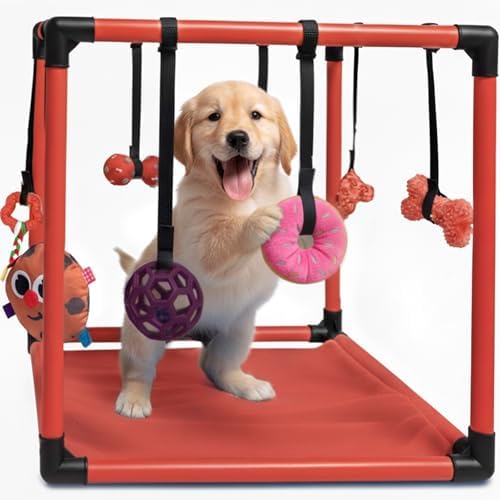 Race&Herd 19.5" Puppy Play Gym — Small Dog Jungle Activity Mat (Cherry)