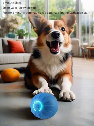 Winb Interactive LED Dog Ball （2 inch）- USB Rechargeable Motion-Activated Rolling Toy for Small Dogs, Dogs Ball Play and Wicked Fun