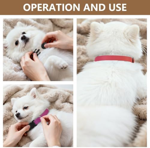 Purple Orange Gradient Dog Bell Collar 2 Pack Puppy Collar Adjustable Length 10.6" to 17.1"