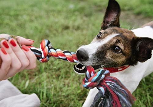 Fida Dog Rope Toys, 4 Pack Cotton Puppy Teething and Chew Toys