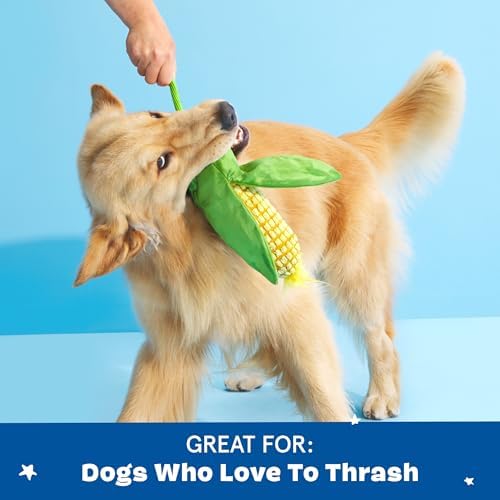 BarkBox Corn on the Slob Dog Toy - Toy for Medium Dogs