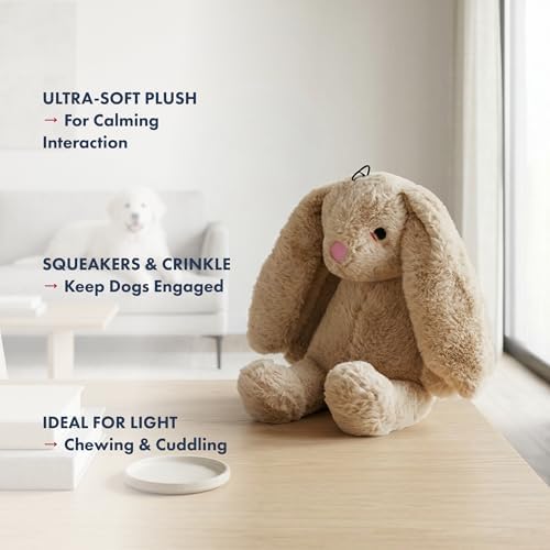 petlou Colossal Squeak 15-inch Promo Rabbit Dog Toys Not for Heavy Aggressive Chewers