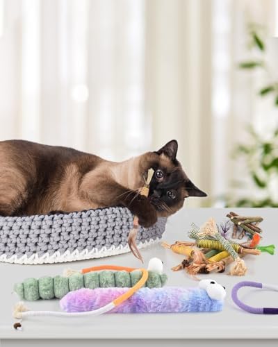 Bissap 20PCS Silvervine Chew Sticks, Catnip Chewing Toy for Cat Kitten