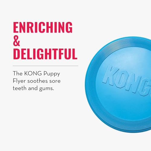 KONG Puppy Flyer, Soft Rubber Flying Disc Toy, for Small Puppies, Pink