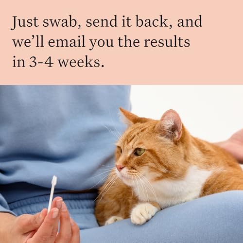 Wisdom Complete Cat DNA Test Panel for Full Health, Properties and Adventures - White