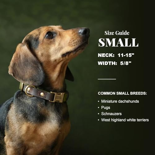 Personalized Dog Collars, Quick Release Buckle, Olive Green,S