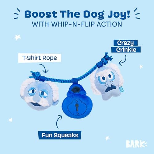 BarkBox Marley & Gnarley's Chain Dog Toy - Toy for Medium to Large Dogs