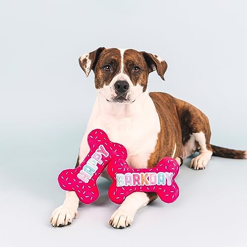 Fringe Studio Plush Dog Toy, It's My Barkday, Pet Shop Collection (314226)