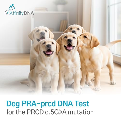Dog Pra-prcd DNA Test | Home Sample Collection Kit for 1 Canine | Puppy Progressive Retinal Atrophy Test Kits | Results in 10-15 Working Days | A Complete Kit with No Extra Fees