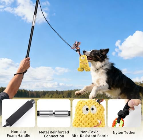 Flirt Pole for Dogs with Squeaker & Rope – Includes XL Carry Bag