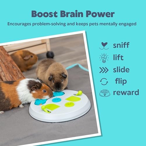 Trixie Rabbit Flip Board – Interactive Bunny Toy for Indoor Rabbits with 3 Opening Techniques – Treat Dispenser for Rabbits, Ferrets, Chinchillas & More – Multicolor, 9.5 x 9.5 x 2.75 in