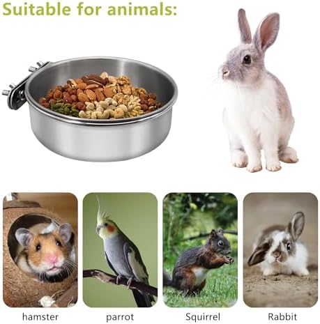 Large Bird Feeding Dish Cups with Clamp Holder, 1 Pack