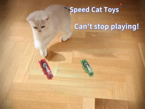 Cat Bug Toy Electric Moving Interactive Cat Toy for Indoor Cats Educational Cat Teaser Toy 2PCS Electronic Beetle Interactive Set for Indoor Cats Kitten Chase Exercise Battery Operated