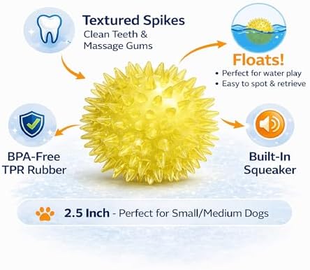 Squeaky Spiky Dog Ball 2.5 Inch for Small Medium Dogs (Color Varies), Teeth Cleaning & Gum Massage, Spiny TPR Rubber Chew Toy for Fetch Play, Interactive Bouncy Dental Ball, Durable BPA Free