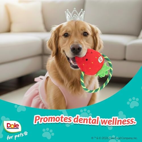Dog Rope Toy with Squeakers, Strawberry Tug of War Dog Toy, Tough Cotton Rope Toys for Dogs, Aggressive Chew Toys for Medium Dogs