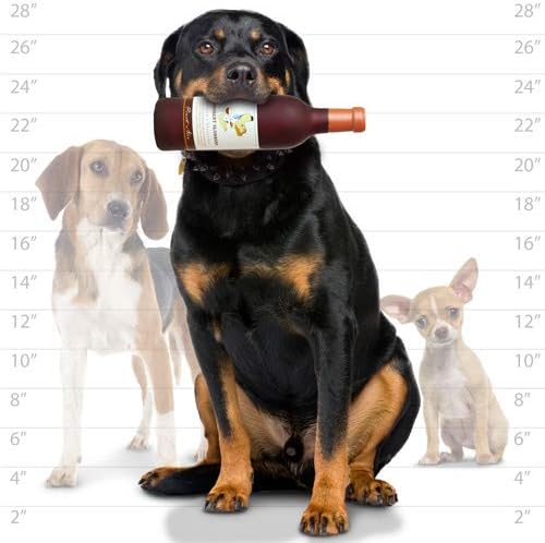 SILLY SQUEAKERS Tuffy Grrrobert Slobbery Wine Bottle Dog Toy: Squeaky Dog Toy, Washable and Floats, Vinyl Construction
