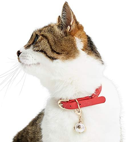 Blueberry Pet Cat Accessory Set of Pearl and Crystal Kitty, Pack of 2 Accessories for Cats & Dogs