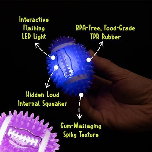 Gnawsome Dog Toys - 3.5" Spiky Squeak & Light Football - Small - Dental & Gum Wellness - Stimulating Fun - Hidden Squeaker - Durable for Heavy Chewers - 100% BPA-Free - Assorted Colors