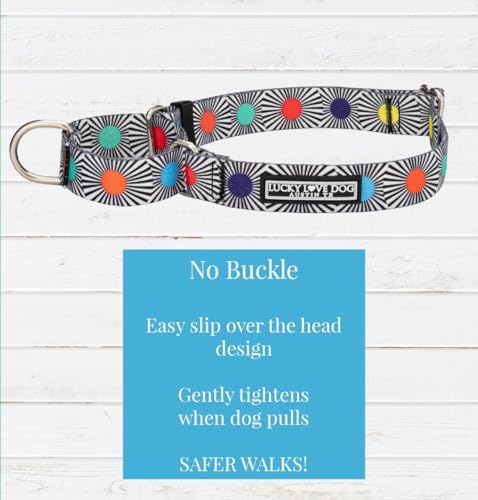 Lucky Love Dog Martingale Collar and Leash Set for Small Dogs – SOCO, Small