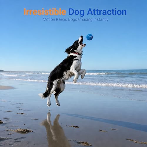 T02 Replacement Dog Ball Shell, 82mm, 90g Lightweight, Blue