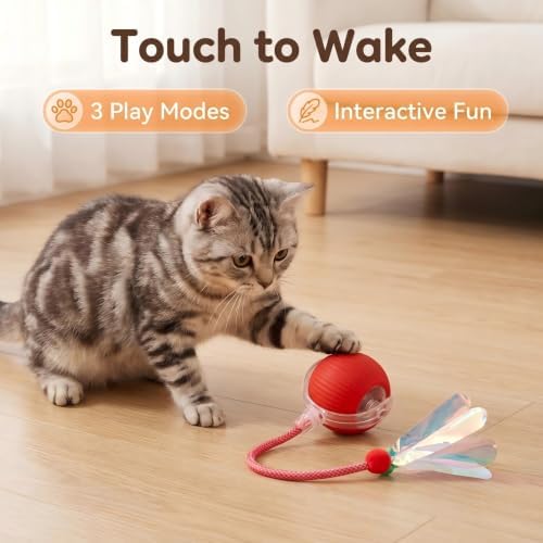 JBD Automatic Cat Toy Ball for Indoor Cats, Interactive Self Moving Electronic Cat Toys, USB Rechargeable, Silent Auto Rolling Kitten Toy for Boredom Relief & Exercise