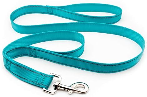 Personalized Dog Collar, Reflective Custom Dog Collar with Name Phone Number Adjustable Size (XS S M L) (Aqua)