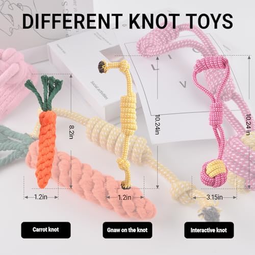 Ferret Toys Set Chew Rope Squeaky Exercise Toy Ferrets Rat Small Animals