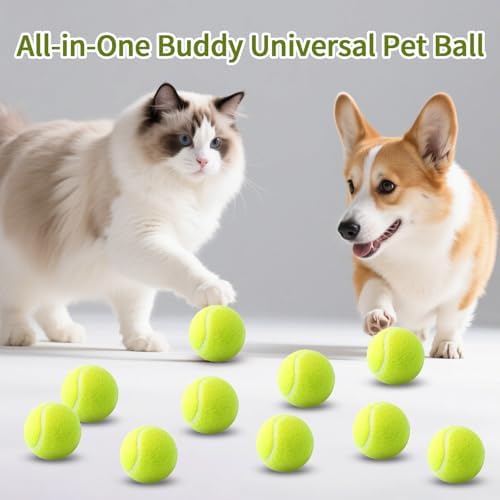 10 Pack 2-Inch Pet Tennis Balls - Interactive Fetch & Training Toys for Indoor Outdoor Play, Dog Balls Suitable only for Small Dogs (Green-02)
