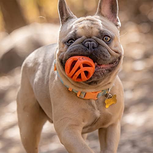 Chuckit! Air Fetch Ball, Small 2in, for Dogs 0-20lbs, 2 Pack