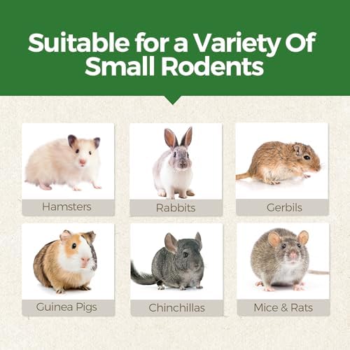 TEEWY 4PCS Guinea Pig Toys, Hamster Chew Toys, Natural Plant-Based Guinea Pig, Hamster, Rat & Chinchilla Toys for Teeth Grinding and Play